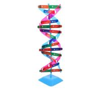 FRCOLOR Kit Dna Doppia in Strumento Scientifico Educativo per Studenti Scuola Media e Superiore Materiale Didattico Interattivo per Apprendimento Genetica Umana