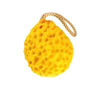 FRCOLOR Spugna da a Nido Dape per La Pulizia Profonda Morbida Ed Esfoliante Dischetto Detergente per Il Viso Compatto da Viaggio Colore Casuale