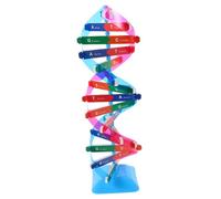 FRCOLOR Struttura Dna Doppia Spirale Per Insegnanti Biologia Kit Scientifico Costruzione Strumento Apprendimento Geni Didattico Classe Giocattolo Assemblare