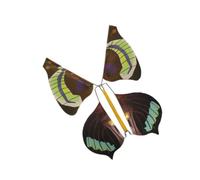 FRCOLOR Supporto in Metallo Farfalla 15 Pezzi Giocattolo Volante per Oggetti di Scena Divertenti per Compleanni e Natale Effetto Sorpresa per Biglietti e Lettere