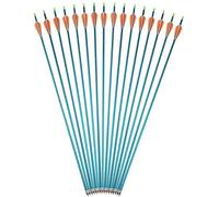 Frecce in Alluminio da 31 pollici Frecce da Caccia con Tiro con l'arco Colonna vertebrale 500 Frecce da Addestramento al Bersaglio con Punta di Freccia a vite per Arco Composto e Ricurvo (blu, 6pcs)