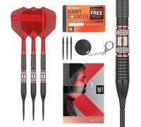 Freccette Target Gabriel Clemens 95K con Punta in Acciaio, Freccette al 95% di tungsteno con voli K-Flex, 21G | Freccette tedesche giganti Clemens, Set di Freccette Swiss Points K Flex in Edizione