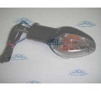 FRECCIA COMPLETA 11724 POSTERIORE SX HONDA 600 CBR RR 2013 2014 2015 2016