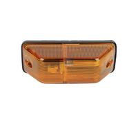 Freccia Laterale Adesiva DT SPARE PARTS Per u.a. MAN L2000 12/24 V P21W