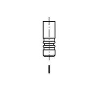 Valvola di scarico FRECCIA R6442/BMCR