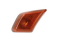 Freccia Specchietto Per Benz Per ACTROS Per MP4 Per MP5 | Lampada Laterale Per Camion 9608201121 9608201021 Luci D'angolo A LED Di Posizione 24V(Left)