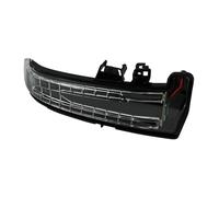 Freccia Specchietto Retrovisore Indicatore Di Direzione A LED Per Specchietto Retrovisore Destro Per Mercedes Per Benz W204 C218 X218 W221 W246 W166 S212