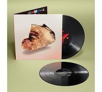 Fred Mann - In Thy Domain