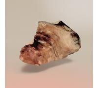 Fred Mann In Thy Domain (Vinyl LP) 12" Album