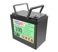 FREEDOH Batteria al Litio Ferro fosfato 12V 100Ah per accumulo di energia