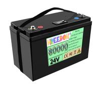 FREEDOH Batteria di accumulo di energia 24V 80Ah con Caricabatterie