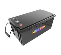FREEDOH Batteria per accumulo di energia 12V 24V 48V LiFePO4