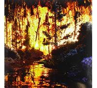 Freedom Engine - Box Full Of Magic