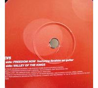 Freedom Now / Valley Of The Kings