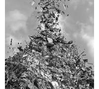 Freedom Sweet Freedom