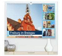 Freiburg im Breisgau. Malerische Stadt am Rande des Schwarzwaldes (hochwertiger Premium Wandkalender 2026 DIN A2 quer), Kunstdruck in Hochglanz: Bei ... Bauten der historischen Altstadt.