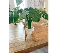 Frenaki Set di sottobicchieri Monstera, pianta Magnetica Monstera Coaster, Vaso per fioriera per Piante Monstera Coaster, Stampa 3D Monstera Coaster, Piante Artificiali da Interno (D)
