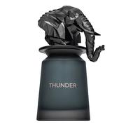 French Avenue Thunder Eau de Parfum da uomo 100 ml