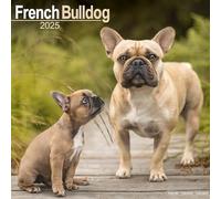 French Bulldog 2025 Square Wall Calendar | Dog Breed Calendar