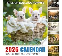 French Bulldog Puppies Calendar 2026: Adorable beginnings and endless snuggles from tiny companions