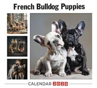 French Bulldog Puppies Calendar 2026: Squishy-Faced Cuties with Endless Charm