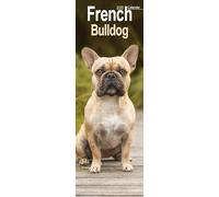 French Bulldog Slim 2025 Slimline Wall Calendar | Dog Breed Calendar
