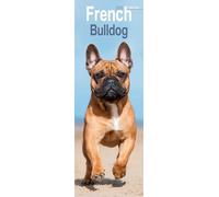 French Bulldog Slim 2026 Calendar | Slimline Wall Calendar | Dog Breed Gift | Plastic Free Packaging | by Avonside Publishing