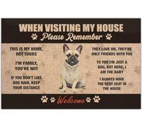 French Bulldog When Visiting My House Please Remember Zerbino Ingresso Asciugatura Rapida Zerbino Asciugapassi Antiscivolo Tappeti Da Bagno Per Corridoio Interno Doccia 40X60 Cm