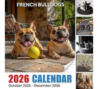 French Bulldogs Calendar 2026: Compact charm and playful personalities featured all year