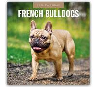 French Bulldogs - Französische Bulldoggen 2026 - 16-Monatskalender: Original Red Robin Publishing Ltd-Kalender [Mehrsprachig] [Kalender]