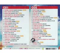 French & International Club & Party Hits incl. When I Met You in The Summer (Compilation CD, 41 Tracks)