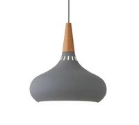 French Minimalist Style Chandelier, E27 Screw Ceiling Lighting Fixtures, Creative Personality Color Metal Hanging Lamp, Clothing Store Coffee House Studio Decoration Pendant Light(Gray,22cm)