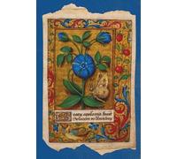 French Renaissance Botanical Art Journal - Periwinkle and Butterfly History and Gardening Notebook, 5.25×8 inches, 200 Lined Pages