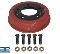 Freno a Tamburo 9 " & Dadi per Willys MB Gpw CJ2A CJ3A CJ3B CJ5 1941-71 Diesel