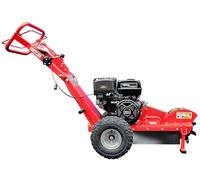 Fresa per Ceppaia GBS-150 Motore a Benzina 15 CV