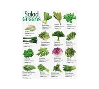 Fresh Greens Poster Salad Variety Chart