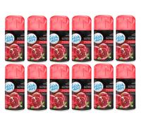 Fresh & more Deodoranti Aria Ricarica (12er Pacco) 250ml Granatbaum&cranberry