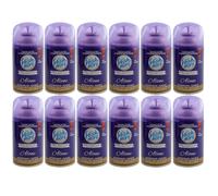 fresh & more Ricariche Spray Automatico ALONE 12x 250ml Per Air Wick Freshmatic