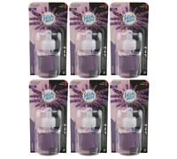 Fresh Più Lavanda 6 X 19ml Per per Air Wick Spine Fragranza