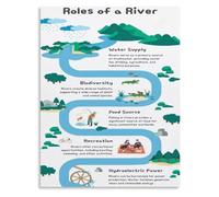 Freshwater Ecology Poster River Roles Ecosystem Types