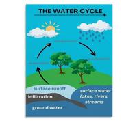 Freshwater Ecosystems Poster Water Cycle Education