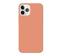 Fresnour Adatto per iPhone 11 Pro 5,8 pollici, cover bumper trasparente, resistente ai graffi (Begonia Color)