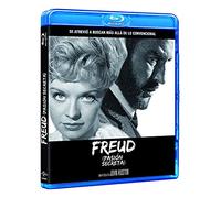 Freud (1962)