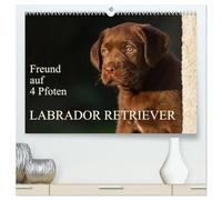 Freund auf 4 Pfoten - Labrador Retriever (hochwertiger Premium Wandkalender 2026 DIN A2 quer), Kunstdruck in Hochglanz: Der Labrador Retriever, eine ... auf 13 wunderschönen Kalenderblättern