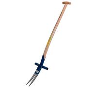 Freund-Victoria - Estirpatore Erbacce Stecher 28072 - Con Piede -unkraut Acetosa