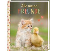 Freundebuch - Alle meine Freunde: mit über 100 Stickern - Tie (Copertina rigida)