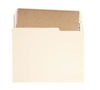 Frfik Cartella portadocumenti, per schedario, 1/3 linguette tagliate, per forniture scolastiche, organizer per documenti per uffici, gestione del flusso di lavoro, contratti aziendali, archiviazione