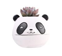 Frfik Vaso da fiori | Fioriera sicura decorazione per cactus orchidee - Vaso per piante grasse, vaso per piante grasse, vasi per interni ed esterni, casa, giardino, famiglia, uomini, donne