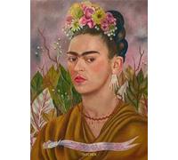 Frida Kahlo. Obra pictórica completa. Ediz. spagnola