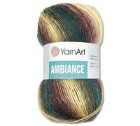 Frida's Wollhaus YarnArt Ambiance - Gomitolo di lana con sfumatura di colore, 100 g, 14 colori (163)